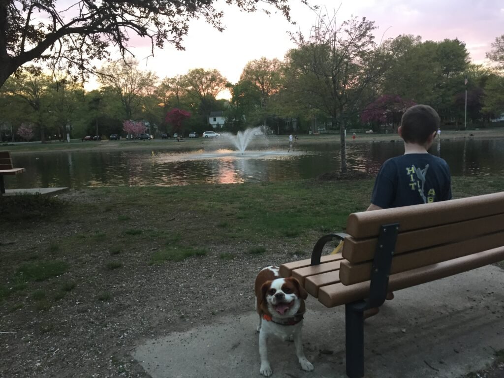 Dunkerhook Area, NJ - Saddle River County Park – Bergen County, NJ – Official Website